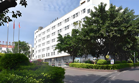 攀枝花东方钛业有限公司